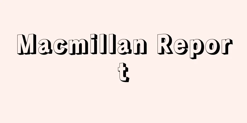 Macmillan Report