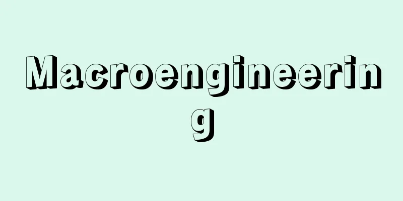Macroengineering