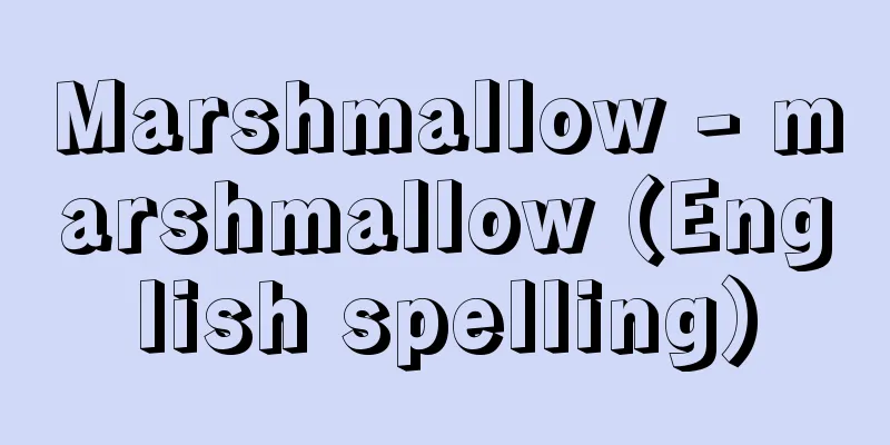 Marshmallow - marshmallow (English spelling)