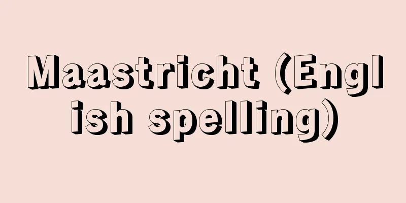 Maastricht (English spelling)
