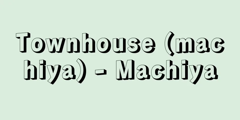 Townhouse (machiya) - Machiya