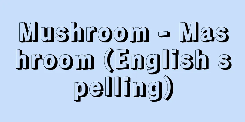 Mushroom - Mashroom (English spelling)