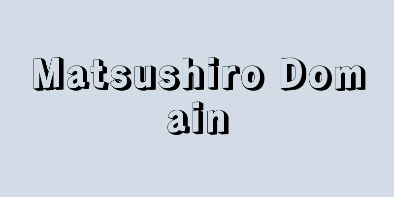 Matsushiro Domain