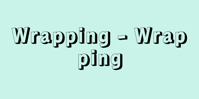 Wrapping - Wrapping