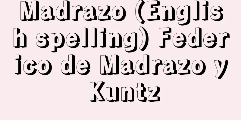 Madrazo (English spelling) Federico de Madrazo y Kuntz