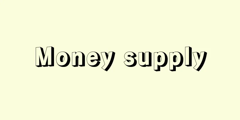 Money supply