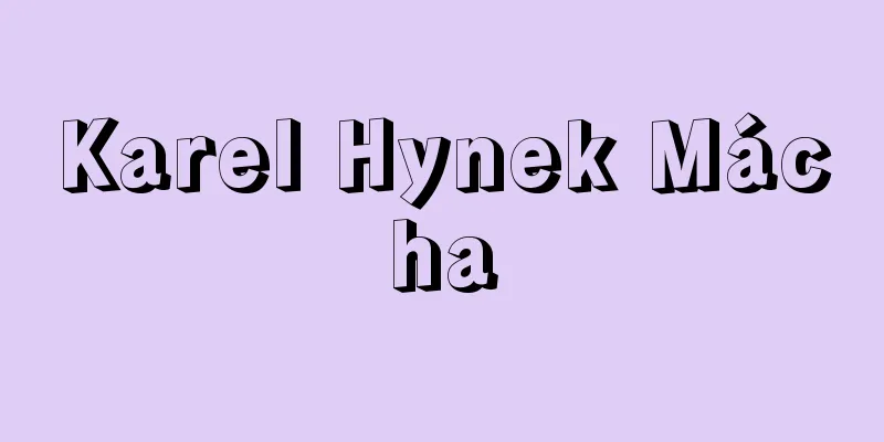 Karel Hynek Mácha