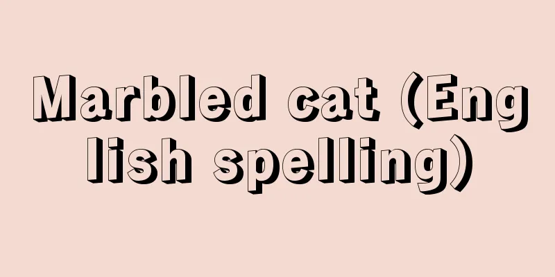 Marbled cat (English spelling)