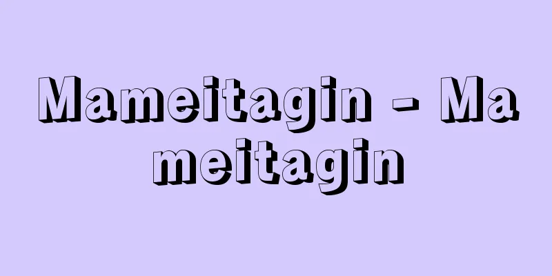 Mameitagin - Mameitagin
