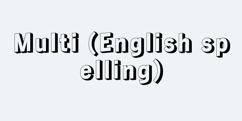 Multi (English spelling)