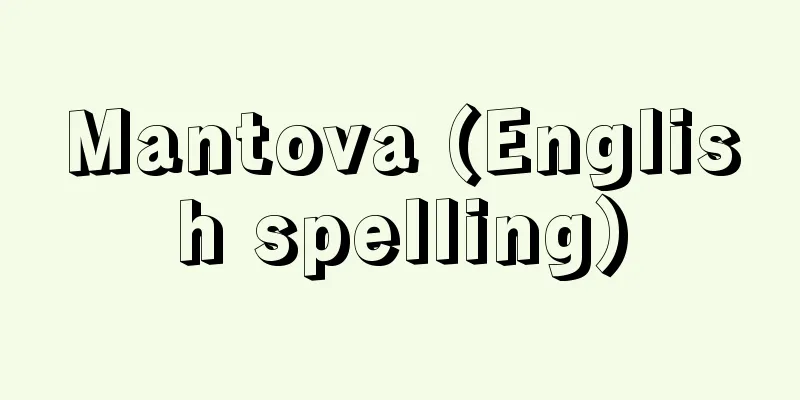 Mantova (English spelling)