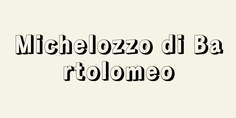 Michelozzo di Bartolomeo