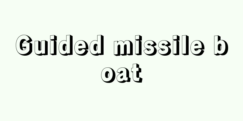 Guided missile boat