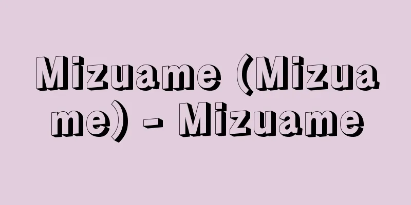 Mizuame (Mizuame) - Mizuame