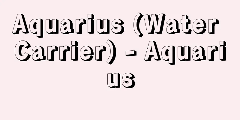 Aquarius (Water Carrier) - Aquarius