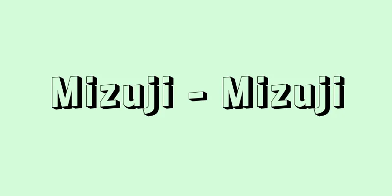 Mizuji - Mizuji