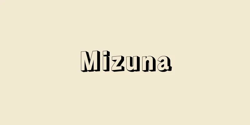 Mizuna