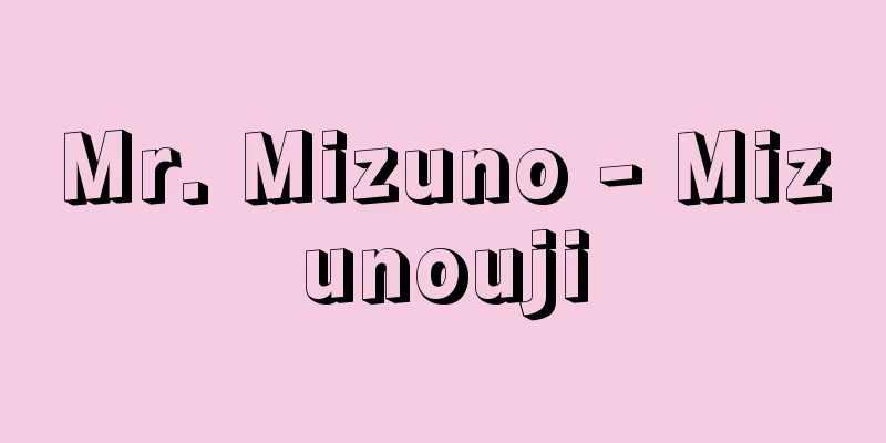 Mr. Mizuno - Mizunouji