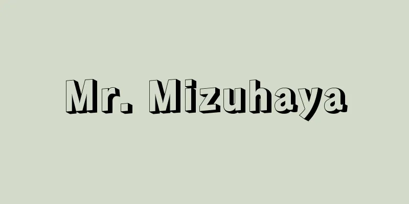 Mr. Mizuhaya
