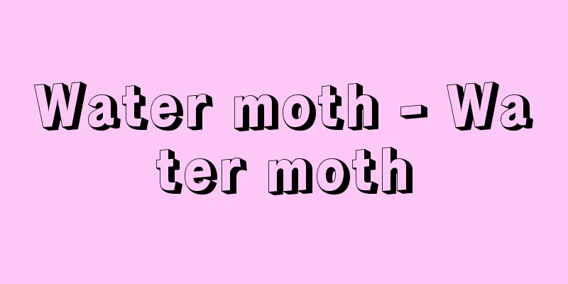 Water moth - Water moth