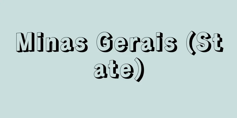 Minas Gerais (State)
