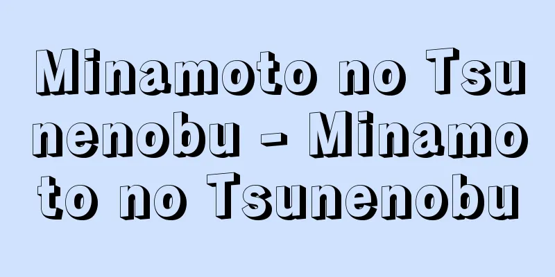 Minamoto no Tsunenobu - Minamoto no Tsunenobu