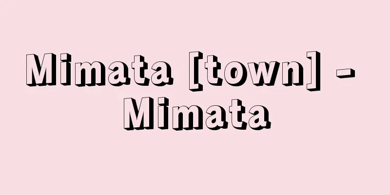 Mimata [town] - Mimata