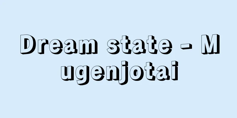 Dream state - Mugenjotai