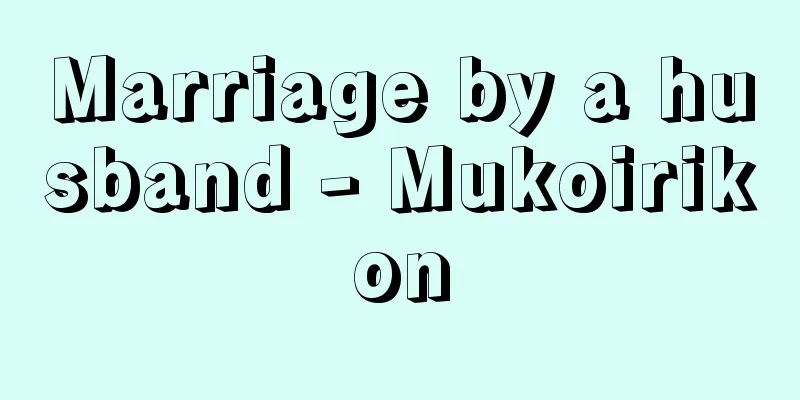 Marriage by a husband - Mukoirikon