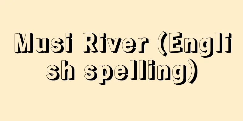 Musi River (English spelling)
