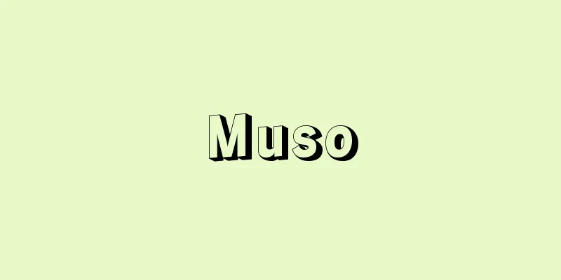 Muso