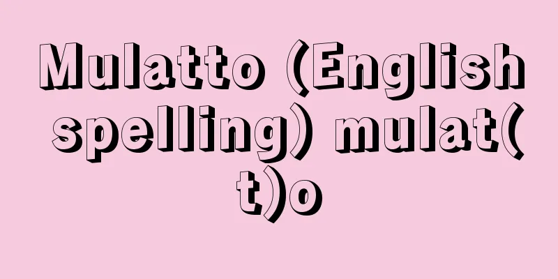 Mulatto (English spelling) mulat(t)o