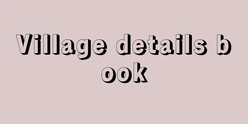 Village details book