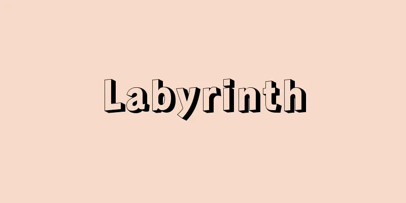 Labyrinth