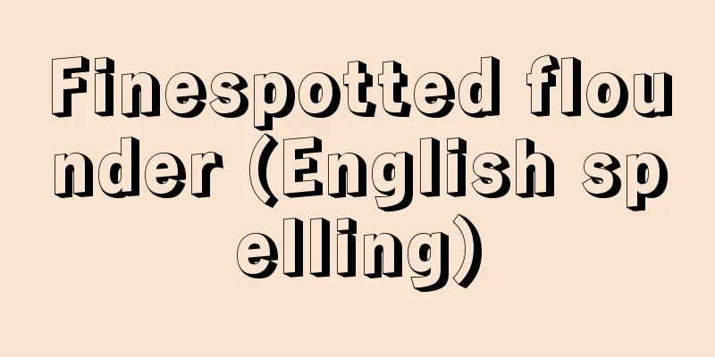 Finespotted flounder (English spelling)