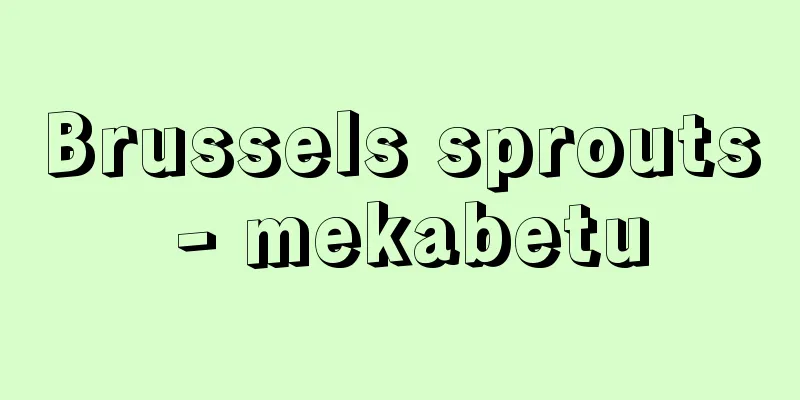 Brussels sprouts - mekabetu