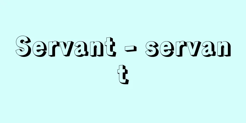 Servant - servant