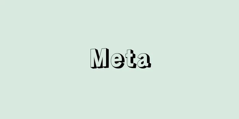 Meta