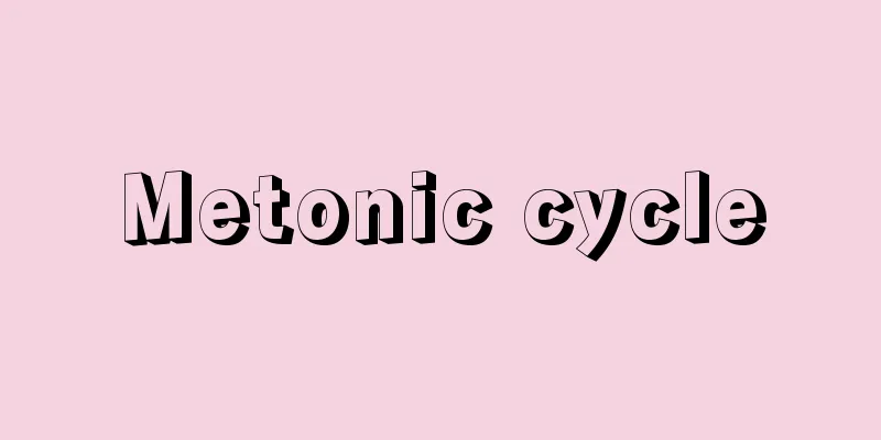 Metonic cycle