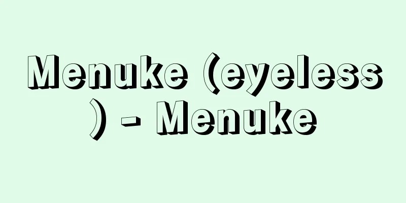 Menuke (eyeless) - Menuke