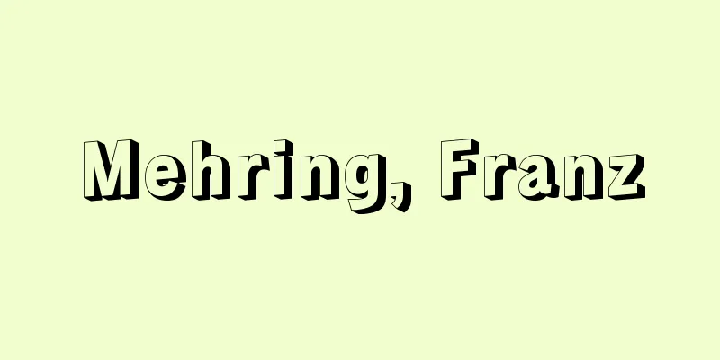 Mehring, Franz