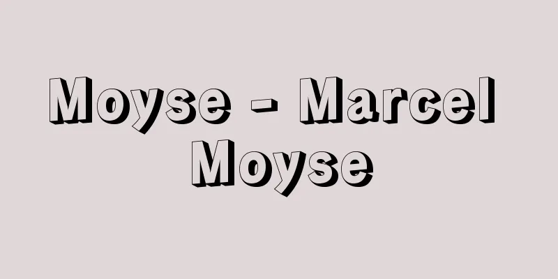 Moyse - Marcel Moyse