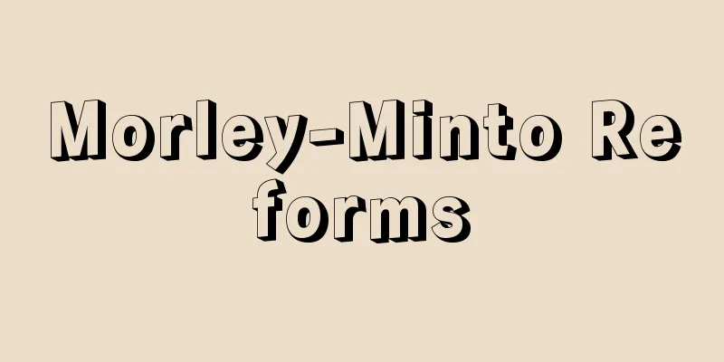 Morley-Minto Reforms
