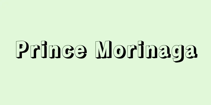Prince Morinaga
