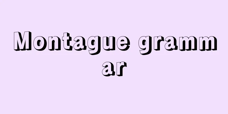 Montague grammar