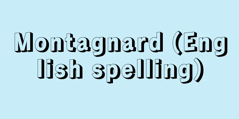 Montagnard (English spelling)