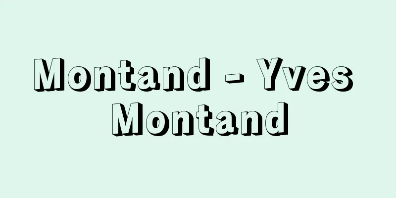 Montand - Yves Montand