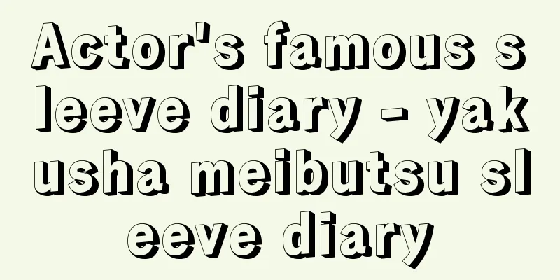 Actor's famous sleeve diary - yakusha meibutsu sleeve diary