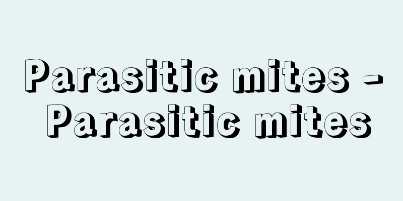 Parasitic mites - Parasitic mites