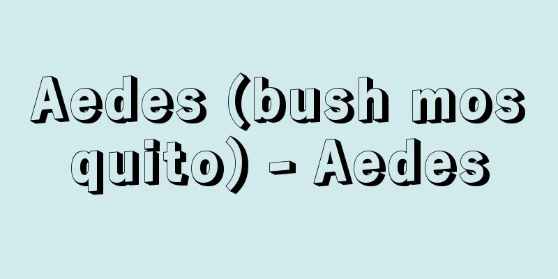 Aedes (bush mosquito) - Aedes